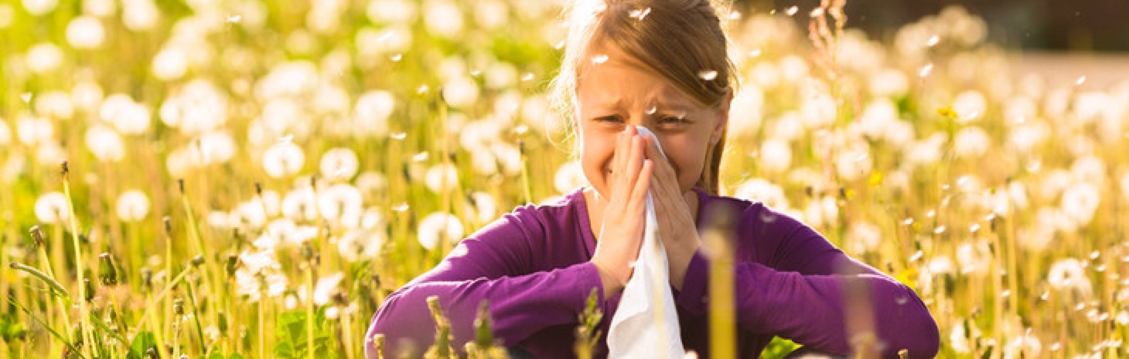 Heuschnupfen.jpg